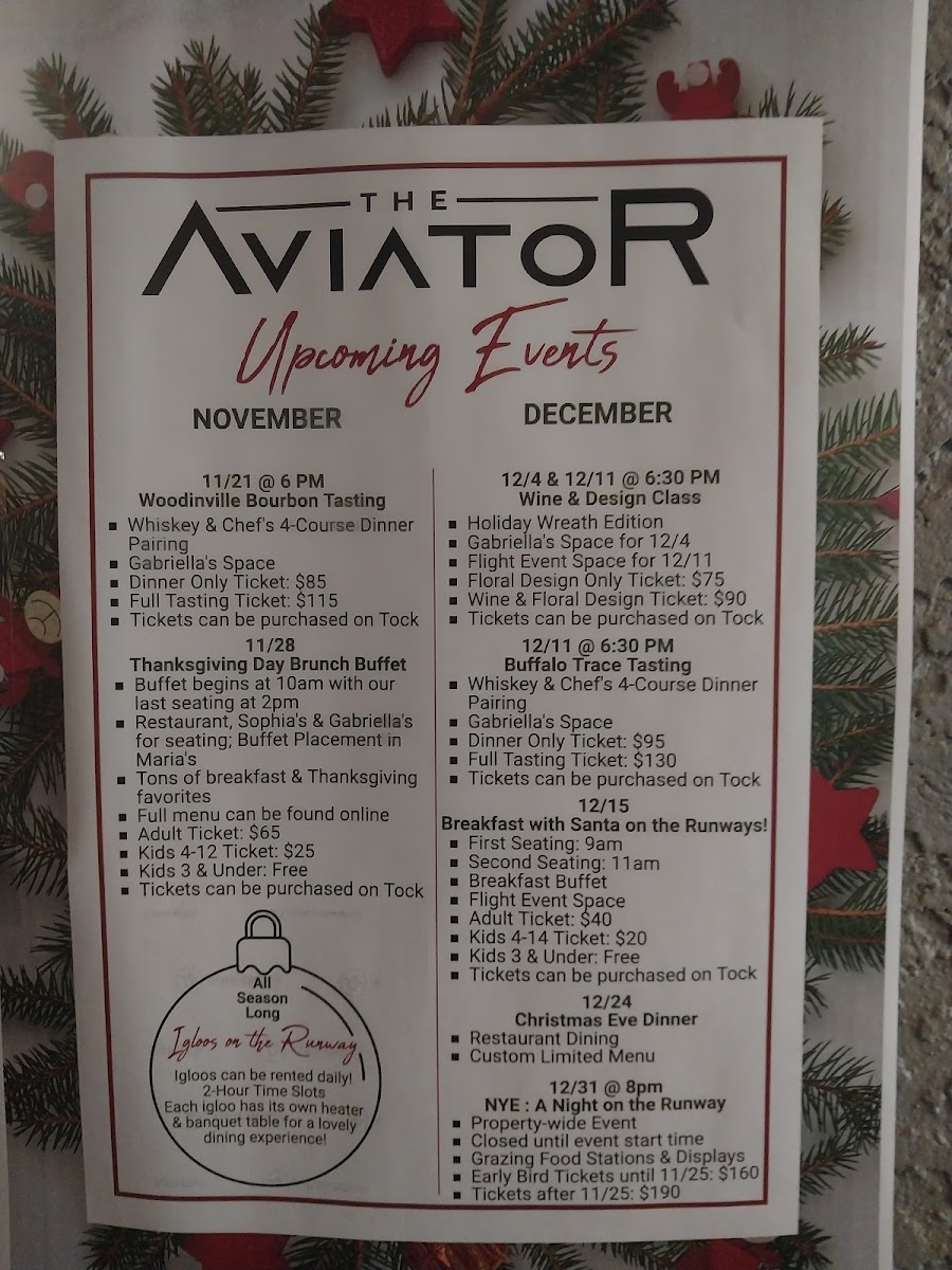 Menu The Aviator Pub & Restaurant-6